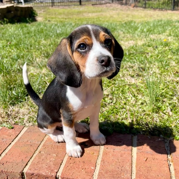 Meet your Posher, Jessica - Picture 6 of 11